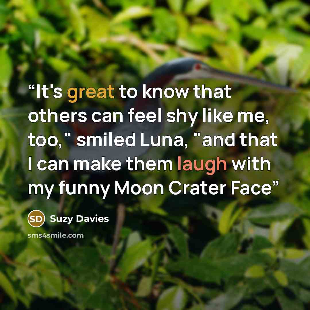 “It's great to know that others can feel shy like me, too," smiled Luna, "and that I can make them laugh with my funny Moon Crater Face” quote by Suzy Davies