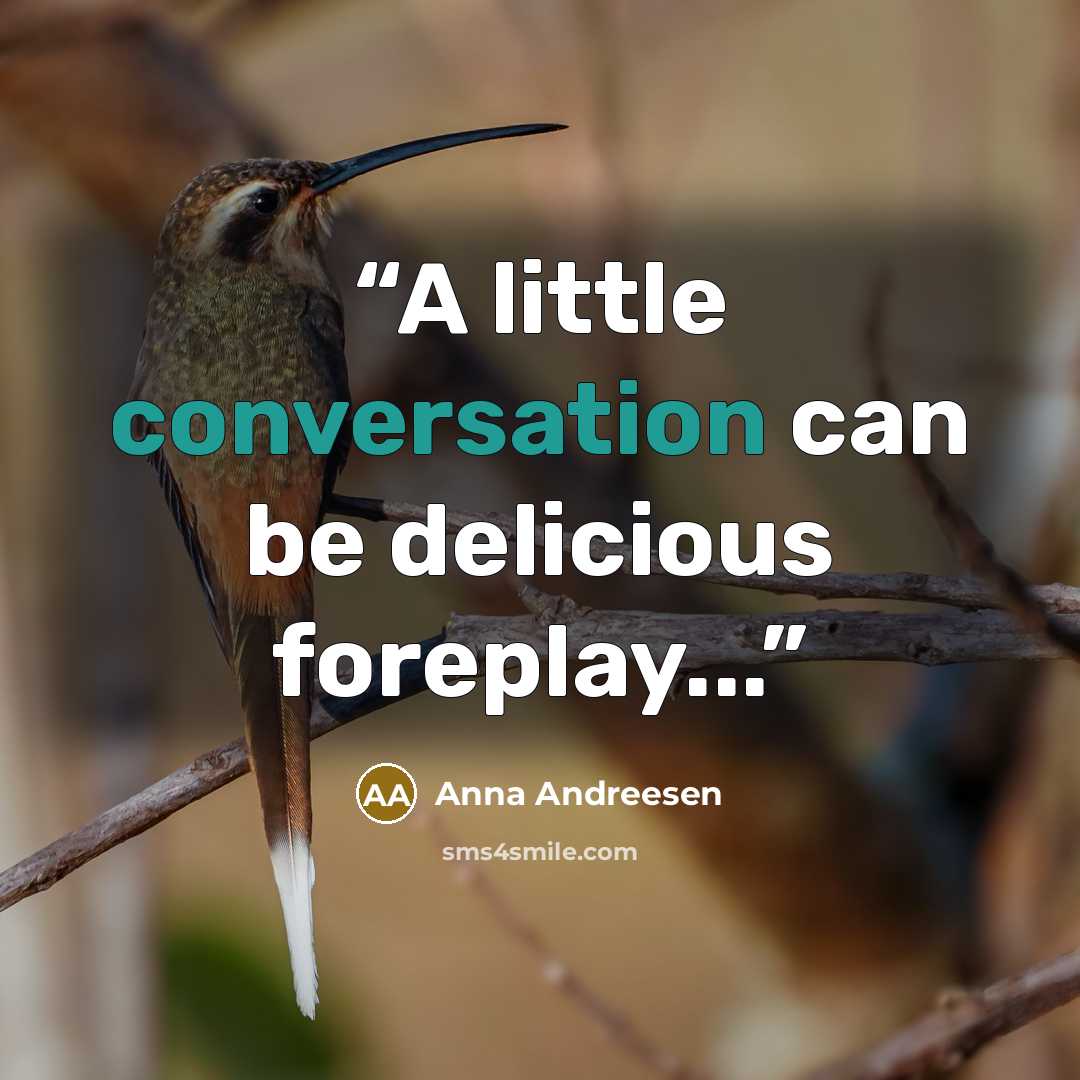 “A little conversation can be delicious foreplay...” quote by Anna Andreesen