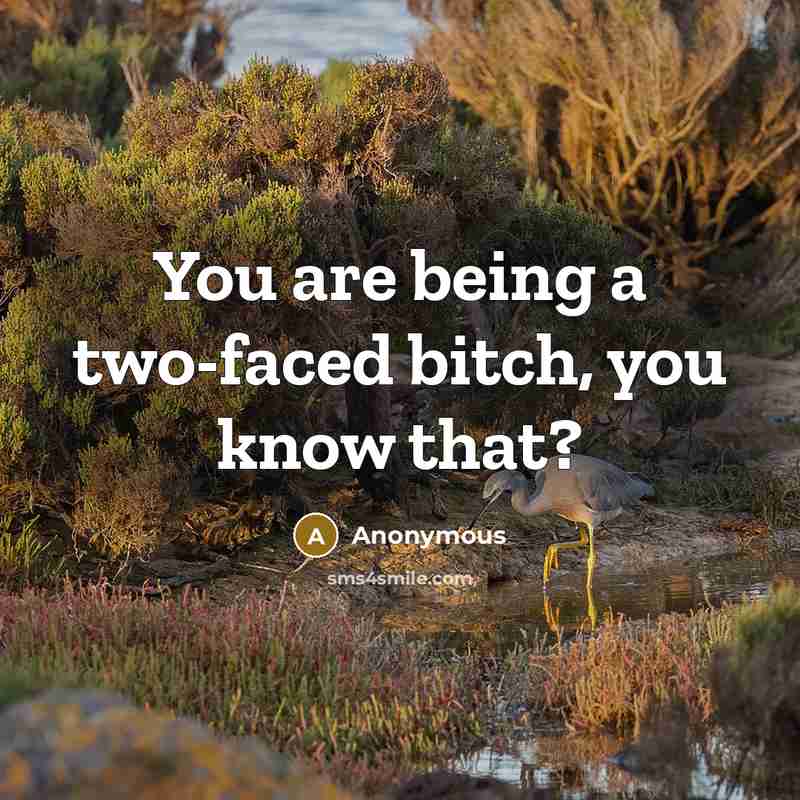 “You are being a two-faced bitch, you know that?” quote by Anonymous