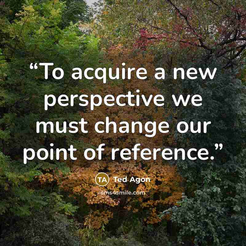 “To acquire a new perspective we must change our point of reference.” quote by Ted Agon