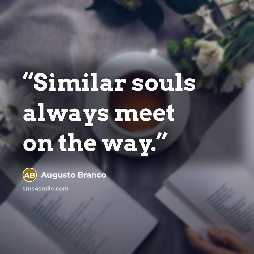“Similar souls always meet on the way.” quote by Augusto Branco