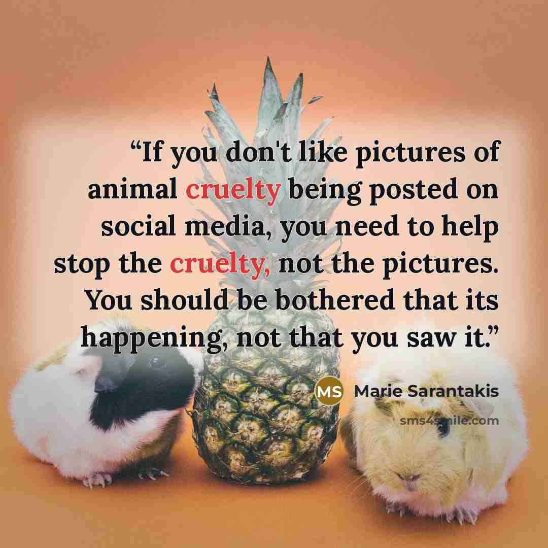 “If you don't like pictures of animal cruelty being posted on social media, you need to help stop the cruelty, not the pictures. You should be bothered that its happening, not that you saw it.” quote by Marie Sarantakis