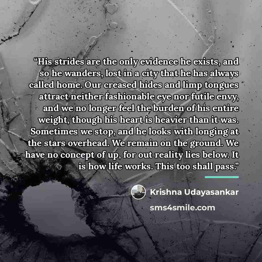 “His strides are the only evidence he exists, and so he wanders, lost in a city that he has always called home. Our creased hides and limp tongues attract neither fashionable eye nor futile envy, and we no longer feel the burden of his entire weight, though his heart is heavier than it was…” quote by Krishna Udayasankar