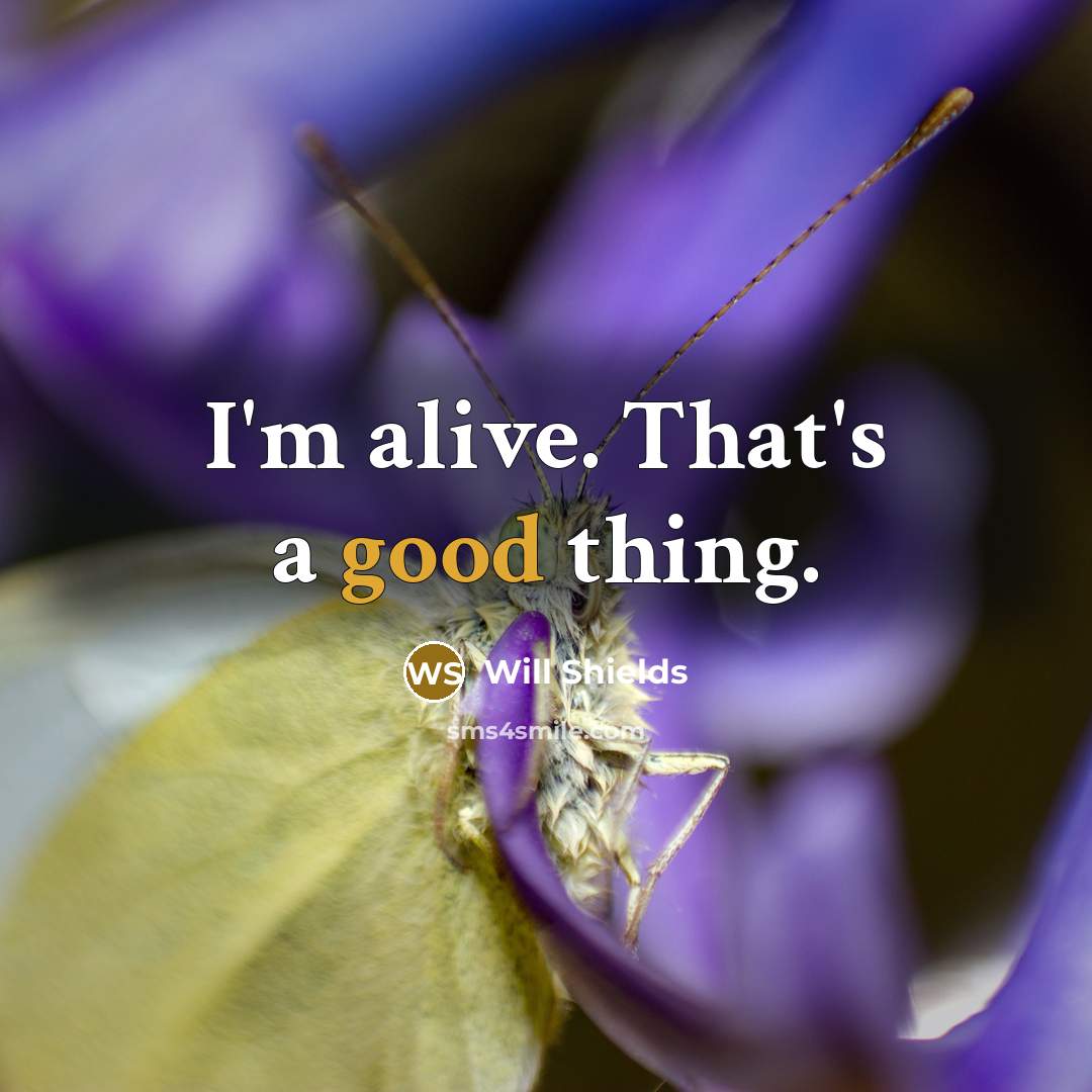 “I'm alive. That's a good thing.” quote by Will Shields