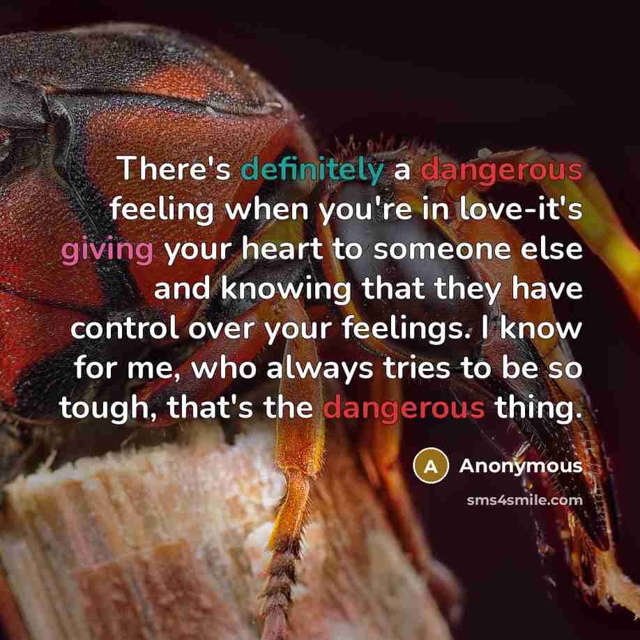 “There's definitely a dangerous feeling when you're in love-it's giving your heart to someone else and knowing that they have control over your feelings. I know for me, who always tries to be so tough, that's the dangerous thing.” quote by Anonymous