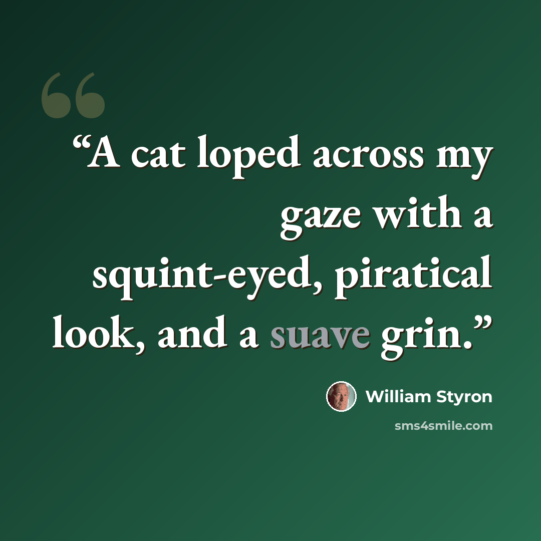 “A cat loped across my gaze with a squint-eyed, piratical look, and a suave grin.” quote by William Styron