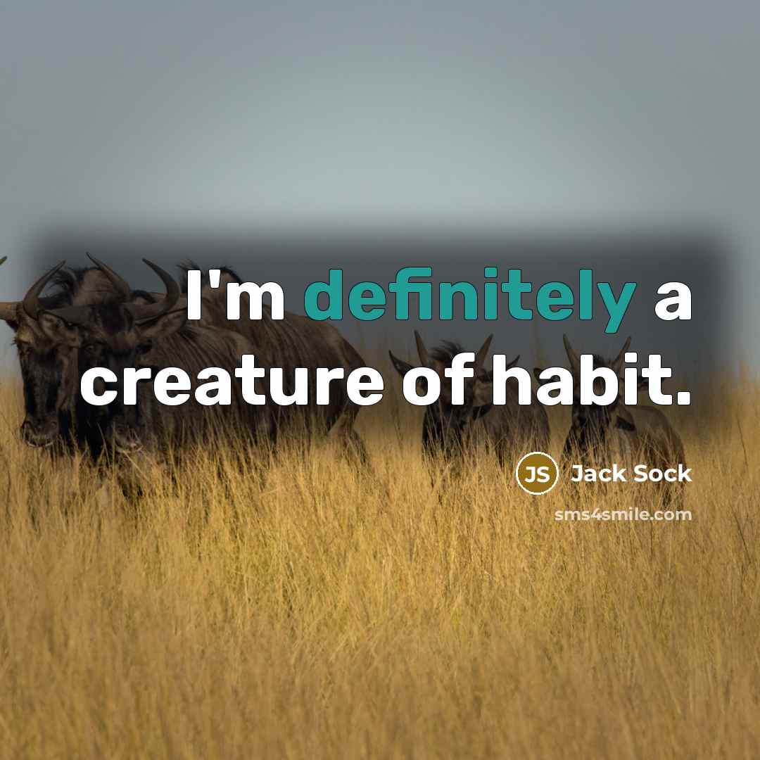 “I'm definitely a creature of habit.” quote by Jack Sock