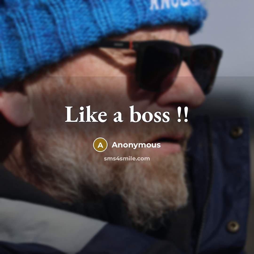 “Like a boss !!” quote by Anonymous