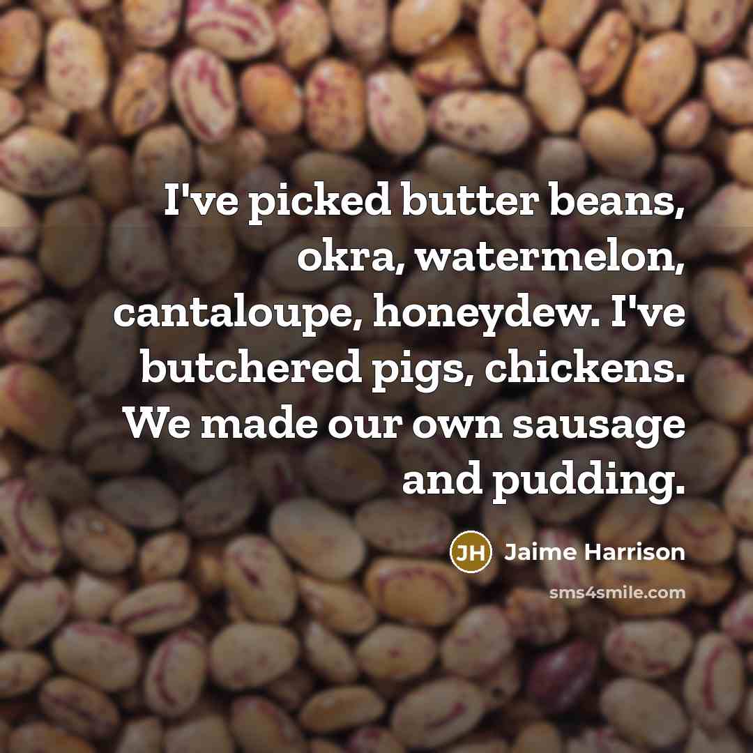 “I've picked butter beans, okra, watermelon, cantaloupe, honeydew. I've butchered pigs, chickens. We made our own sausage and pudding.” quote by Jaime Harrison