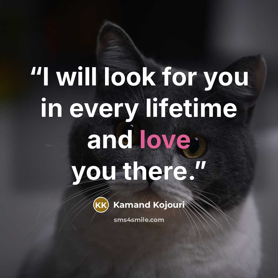 “I will look for you in every lifetime and love you there.” quote by Kamand Kojouri