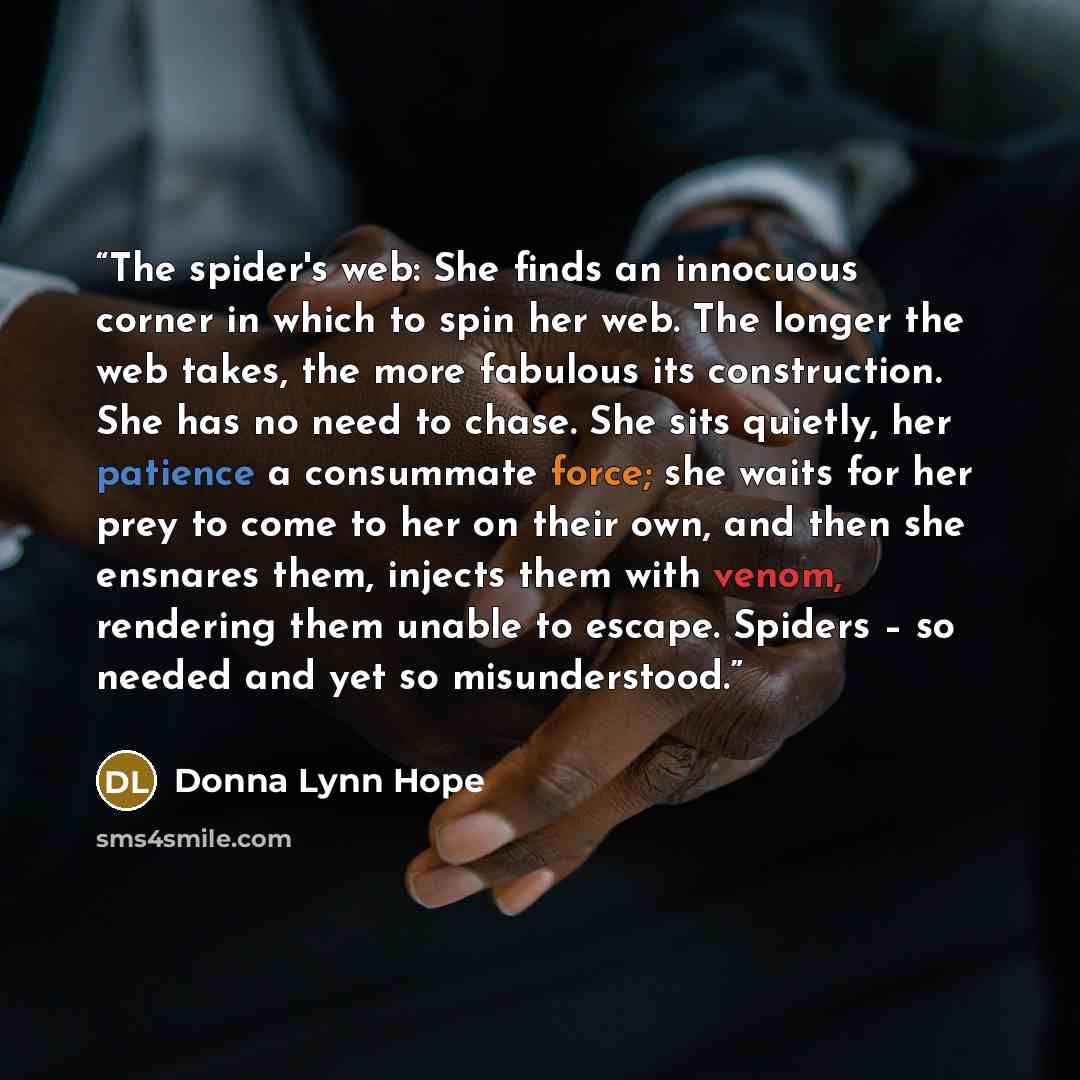 “The spider's web: She finds an innocuous corner in which to spin her web. The longer the web takes, the more fabulous its construction. She has no need to chase. She sits quietly, her patience a consummate force; she waits for her prey to come to her on their own, and then she ensnares them…” quote by Donna Lynn Hope