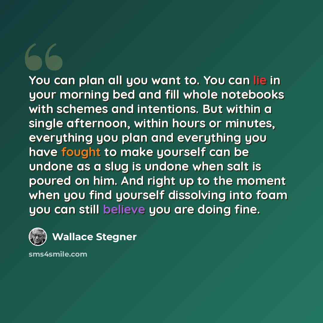 “You can plan all you want to. You can lie in your morning bed and fill whole notebooks with schemes and intentions. But within a single afternoon, within hours or minutes, everything you plan and everything you have fought to make yourself can be undone as a slug is undone when salt is poured on…” quote by Wallace Stegner