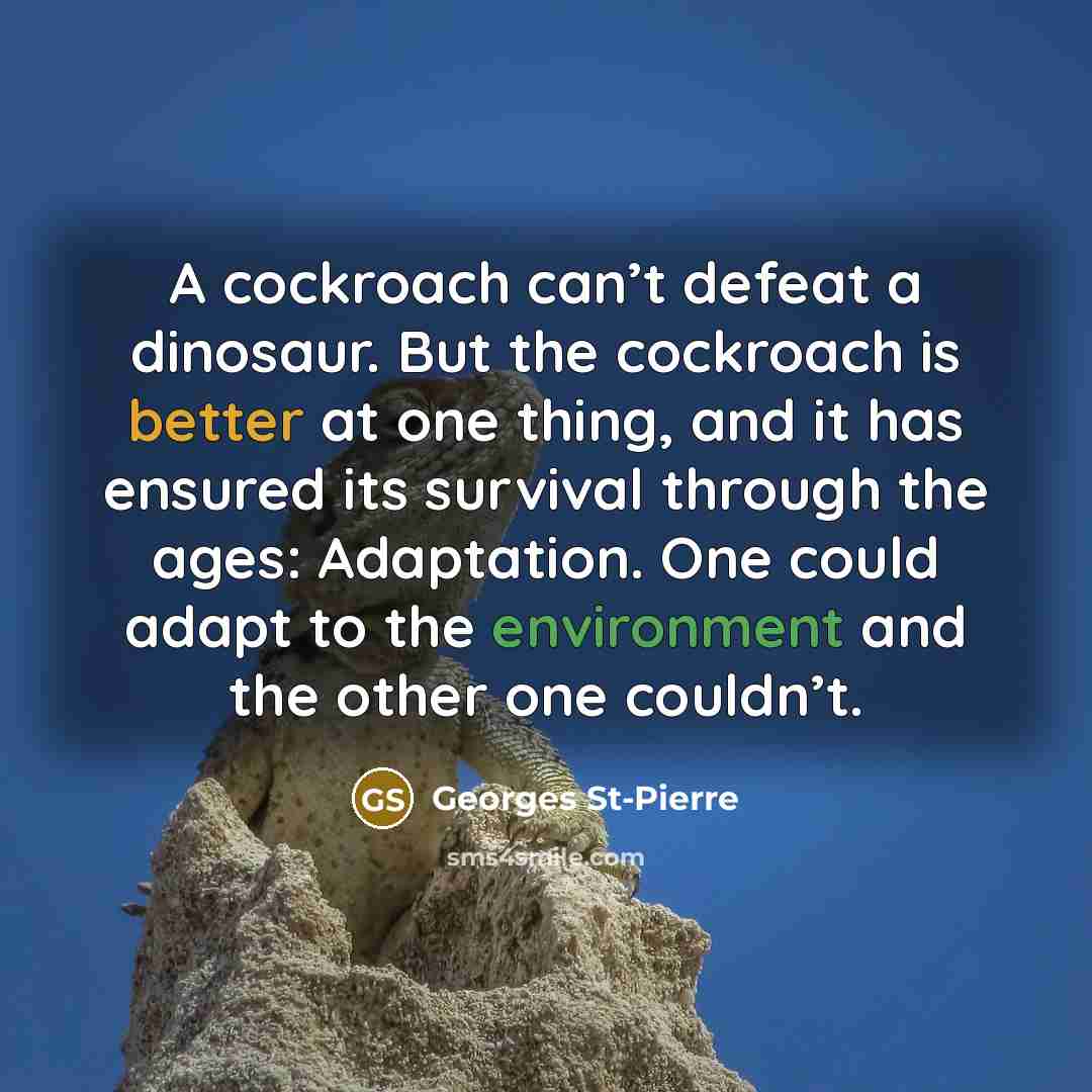 “A cockroach can’t defeat a dinosaur. But the cockroach is better at one thing, and it has ensured its survival through the ages: Adaptation. One could adapt to the environment and the other one couldn’t.” quote by Georges St-Pierre
