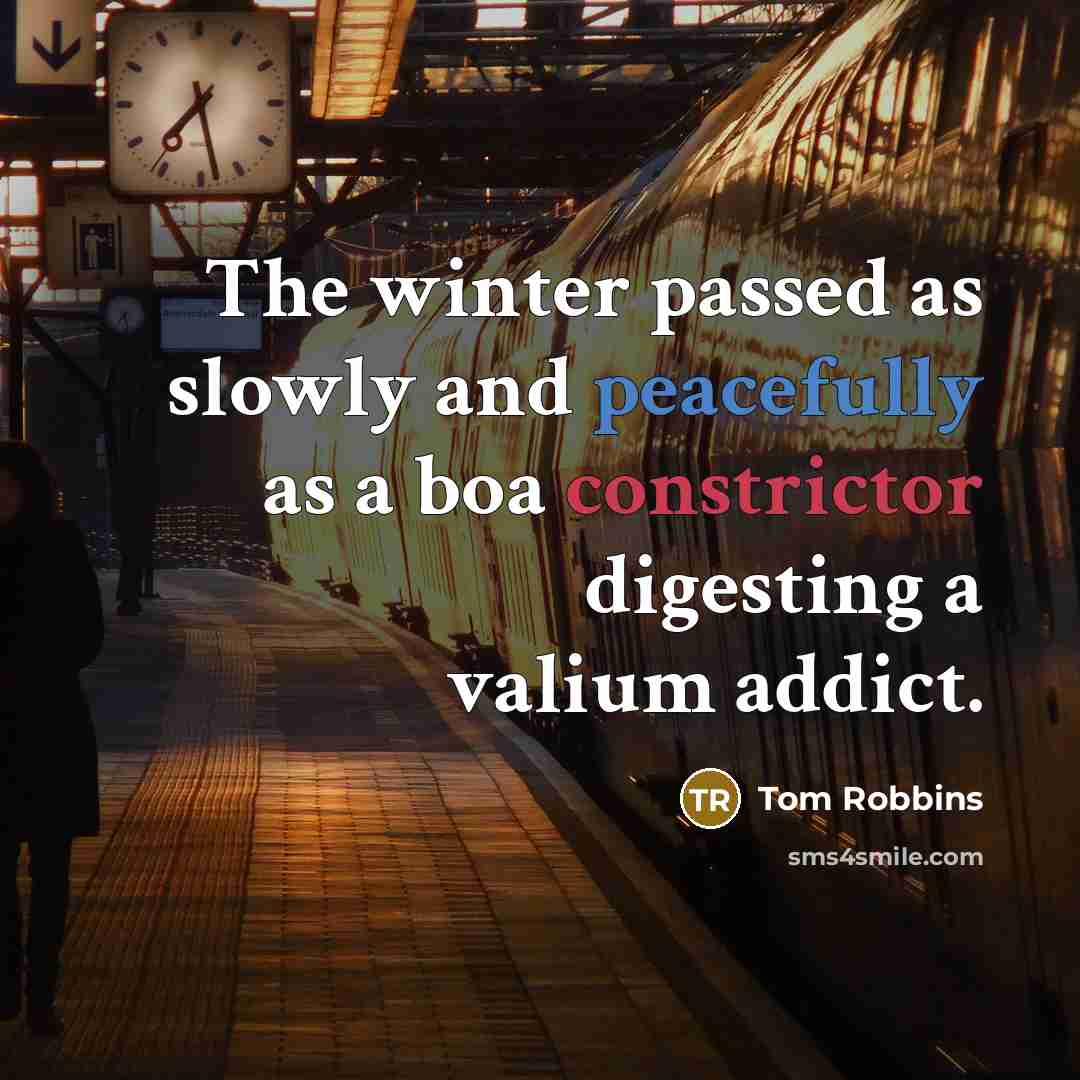 “The winter passed as slowly and peacefully as a boa constrictor digesting a valium addict.” quote by Tom Robbins