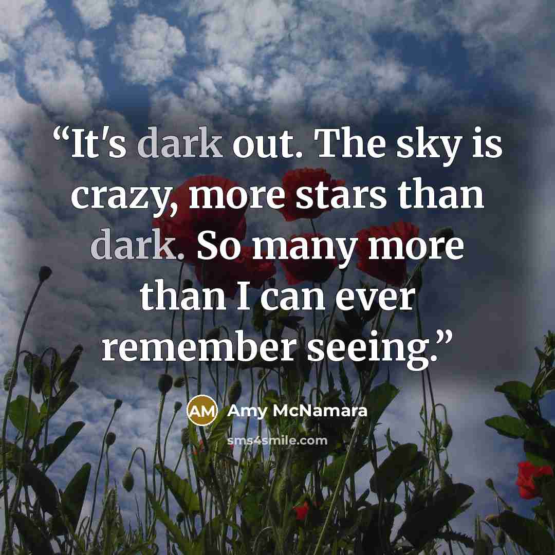 “It's dark out. The sky is crazy, more stars than dark. So many more than I can ever remember seeing.” quote by Amy McNamara