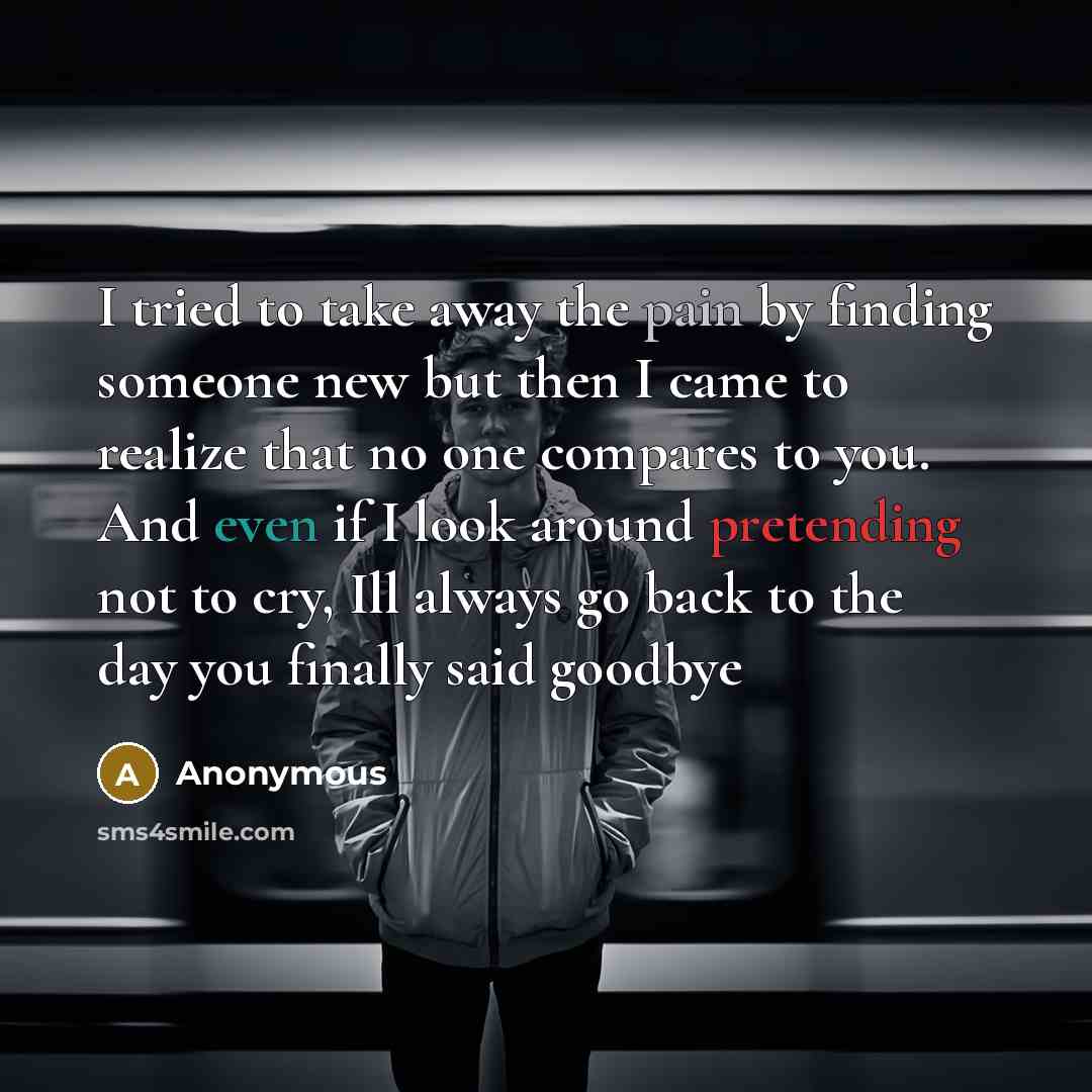 “I tried to take away the pain by finding someone new but then I came to realize that no one compares to you. And even if I look around pretending not to cry, Ill always go back to the day you finally said goodbye” quote by Anonymous