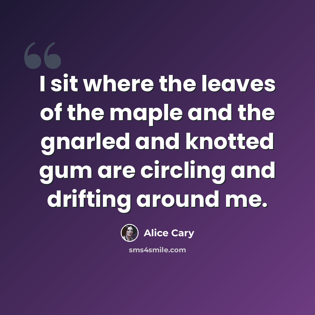 “I sit where the leaves of the maple and the gnarled and knotted gum are circling and drifting around me.” quote by Alice Cary