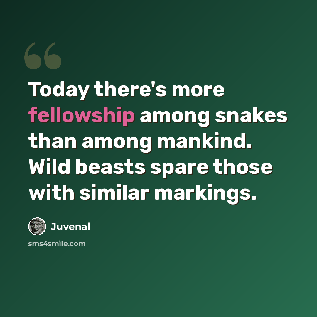 “Today there's more fellowship among snakes than among mankind. Wild beasts spare those with similar markings.” quote by Juvenal