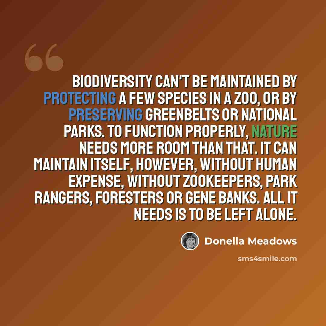 “Biodiversity can't be maintained by protecting a few species in a zoo, or by preserving greenbelts or national parks. To function properly, nature needs more room than that. It can maintain itself, however, without human expense, without zookeepers, park rangers, foresters or gene banks. All it…” quote by Donella Meadows