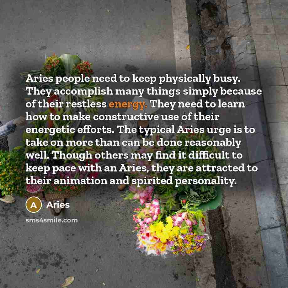 “Aries people need to keep physically busy. They accomplish many things simply because of their restless energy. They need to learn how to make constructive use of their energetic efforts. The typical Aries urge is to take on more than can be done reasonably well. Though others may find it…” quote by Aries