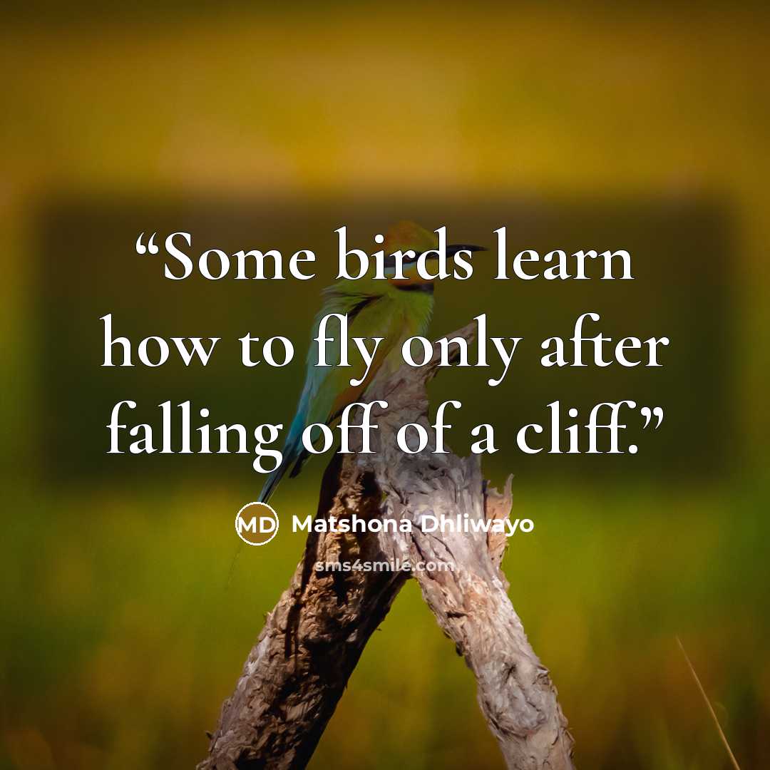 “Some birds learn how to fly only after falling off of a cliff.” quote by Matshona Dhliwayo