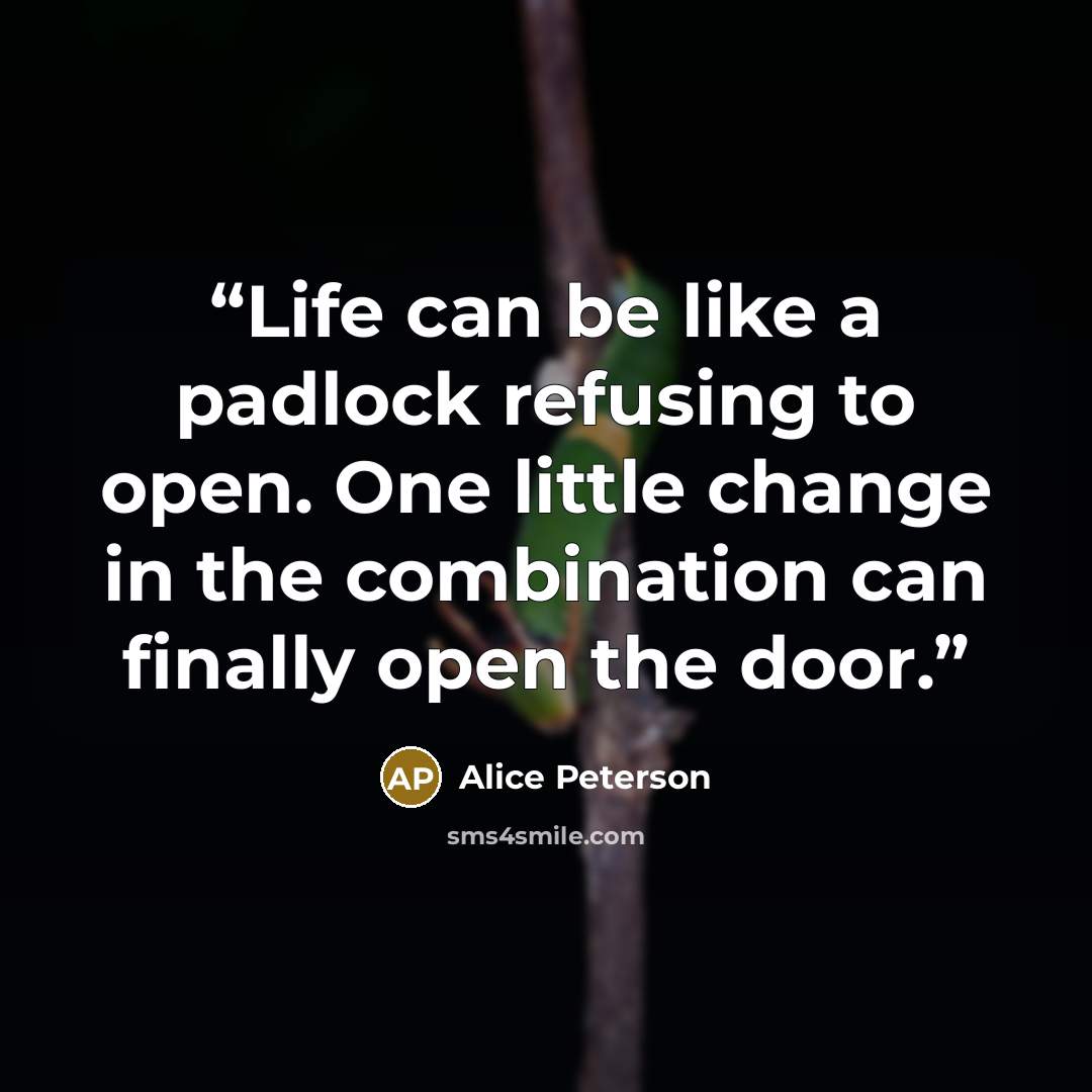 “Life can be like a padlock refusing to open. One little change in the combination can finally open the door.” quote by Alice Peterson