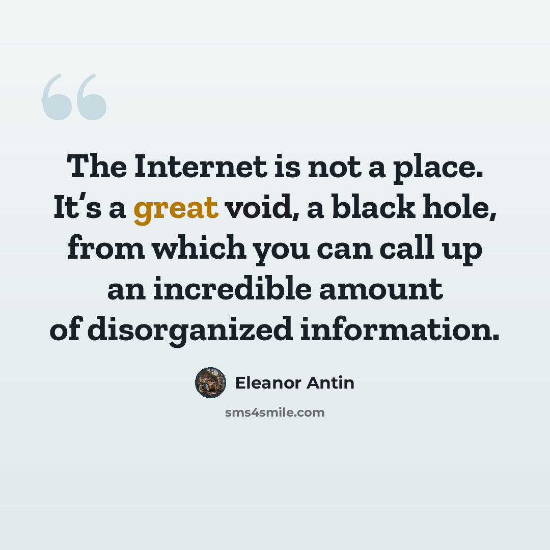 “The Internet is not a place. It’s a great void, a black hole, from which you can call up an incredible amount of disorganized information.” quote by Eleanor Antin