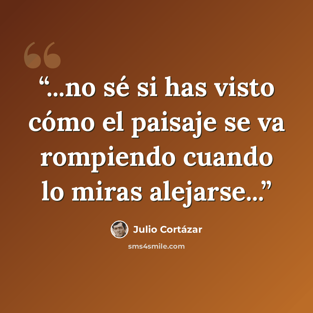 “...no sé si has visto cómo el paisaje se va rompiendo cuando lo miras alejarse...” quote by Julio Cortázar