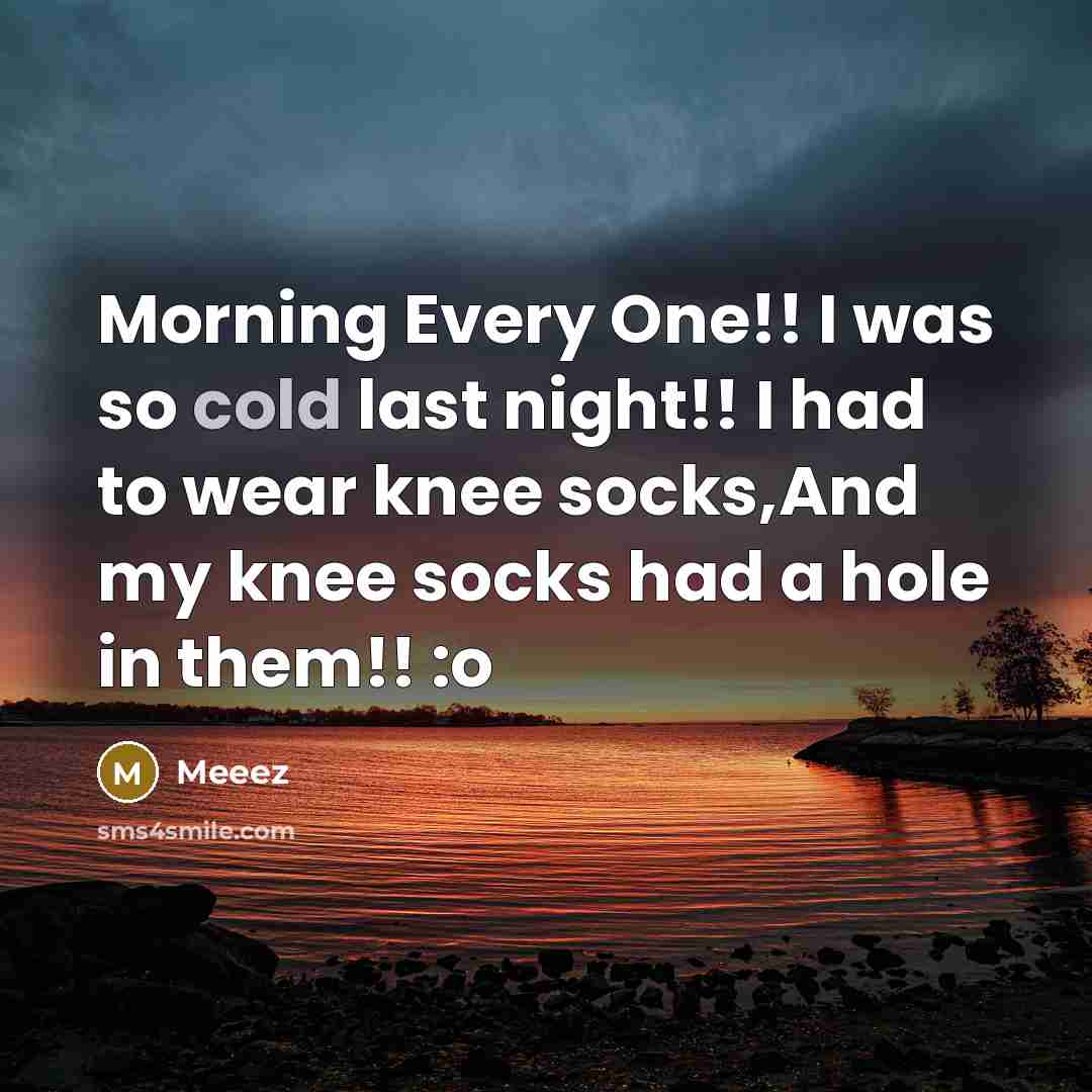 “Morning Every One!! I was so cold last night!! I had to wear knee socks,And my knee socks had a hole in them!! :o” quote by Meeez