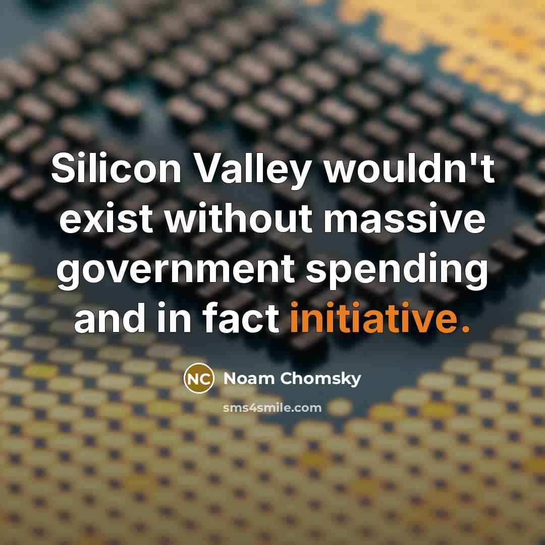 “Silicon Valley wouldn't exist without massive government spending and in fact initiative.” quote by Noam Chomsky