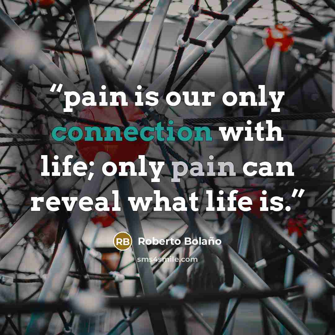 “pain is our only connection with life; only pain can reveal what life is.” quote by Roberto Bolaño
