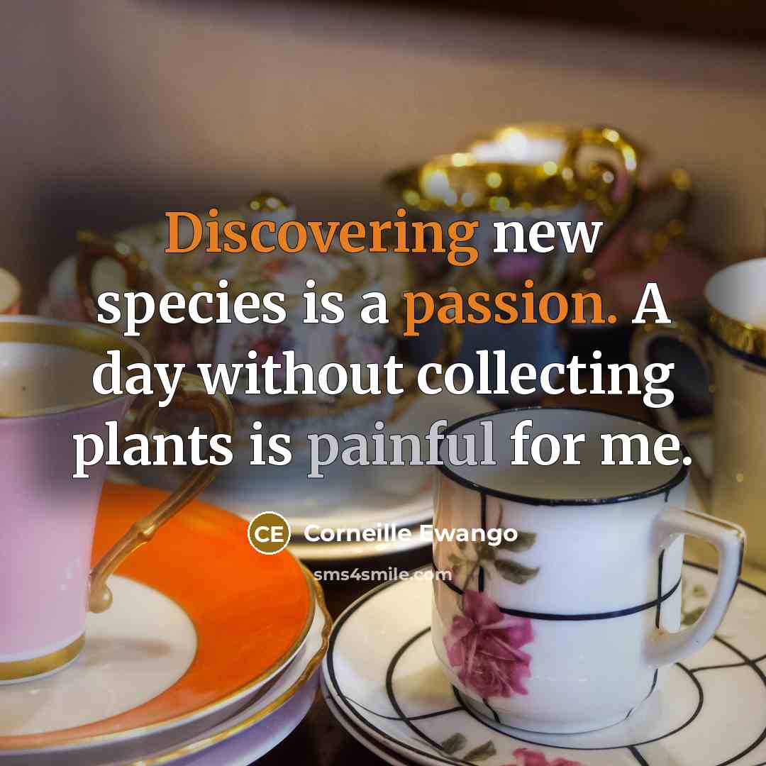 “Discovering new species is a passion. A day without collecting plants is painful for me.” quote by Corneille Ewango