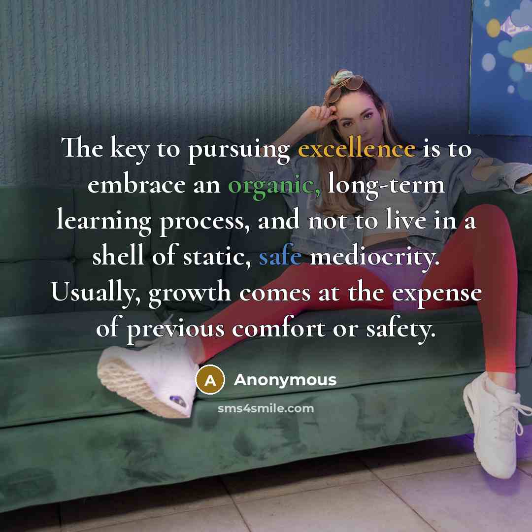 “The key to pursuing excellence is to embrace an organic, long-term learning process, and not to live in a shell of static, safe mediocrity. Usually, growth comes at the expense of previous comfort or safety.” quote by Anonymous