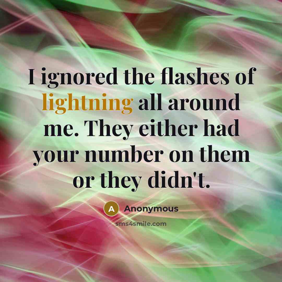 “I ignored the flashes of lightning all around me. They either had your number on them or they didn't.” quote by Anonymous