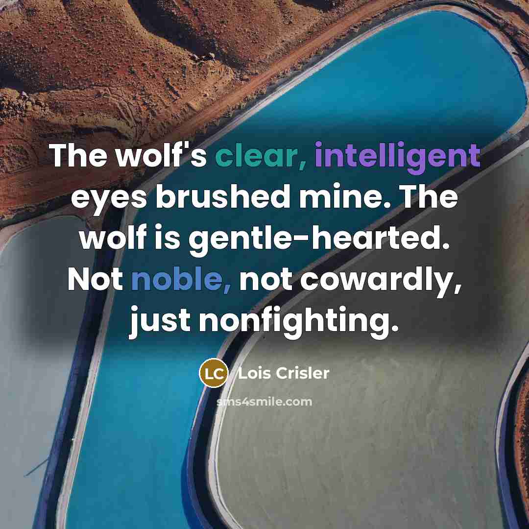 “The wolf's clear, intelligent eyes brushed mine. The wolf is gentle-hearted. Not noble, not cowardly, just nonfighting.” quote by Lois Crisler