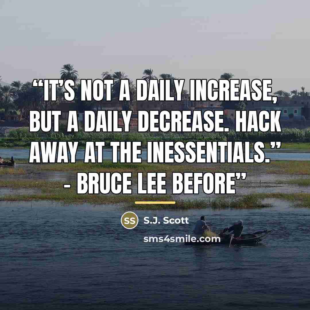 “It’s not a daily increase, but a daily decrease. Hack away at the inessentials.” – Bruce Lee Before” quote by S.J. Scott