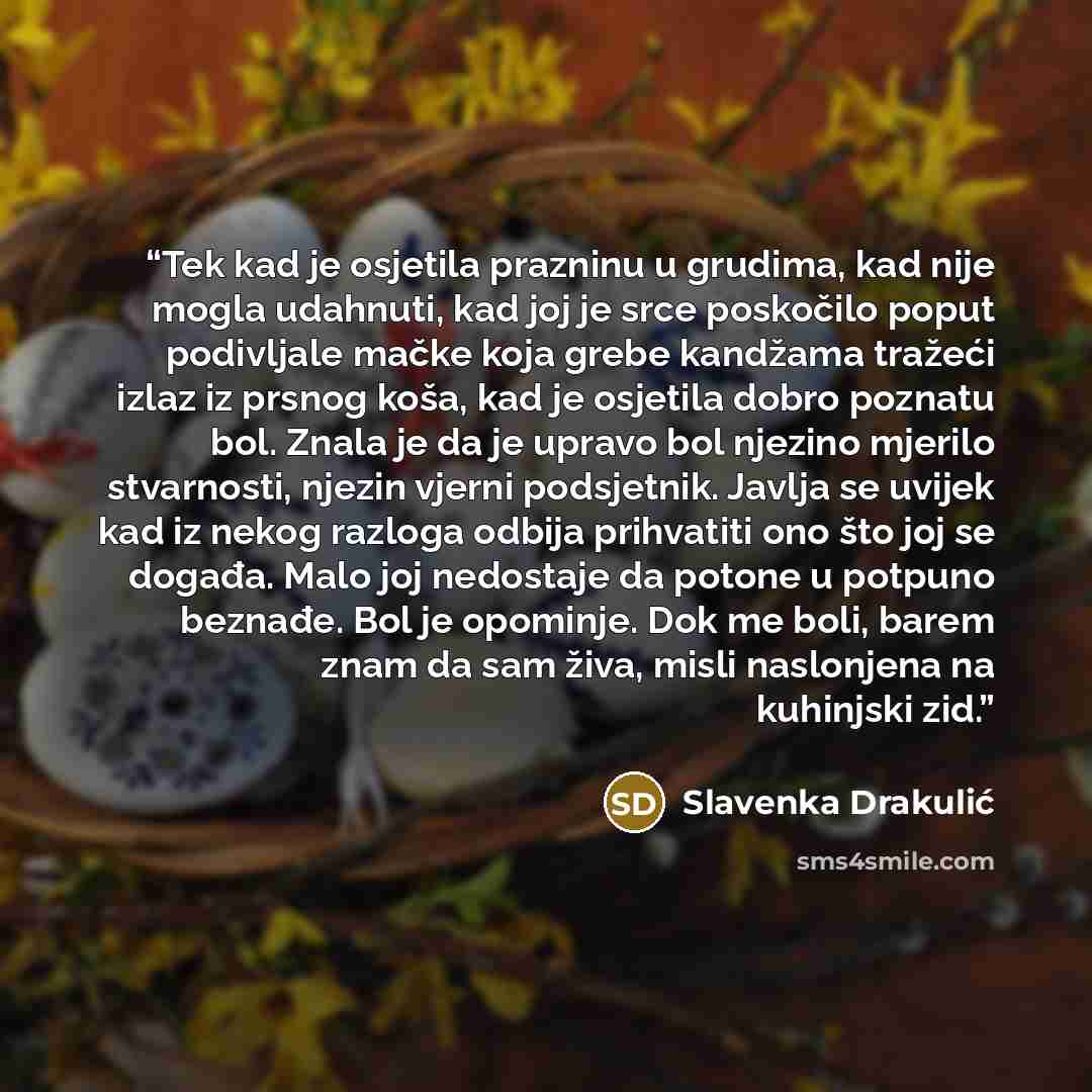 “Tek kad je osjetila prazninu u grudima, kad nije mogla udahnuti, kad joj je srce poskočilo poput podivljale mačke koja grebe kandžama tražeći izlaz iz prsnog koša, kad je osjetila dobro poznatu bol. Znala je da je upravo bol njezino mjerilo stvarnosti, njezin vjerni podsjetnik. Javlja se uvijek…” quote by Slavenka Drakulić
