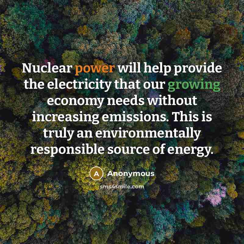 “Nuclear power will help provide the electricity that our growing economy needs without increasing emissions. This is truly an environmentally responsible source of energy.” quote by Anonymous