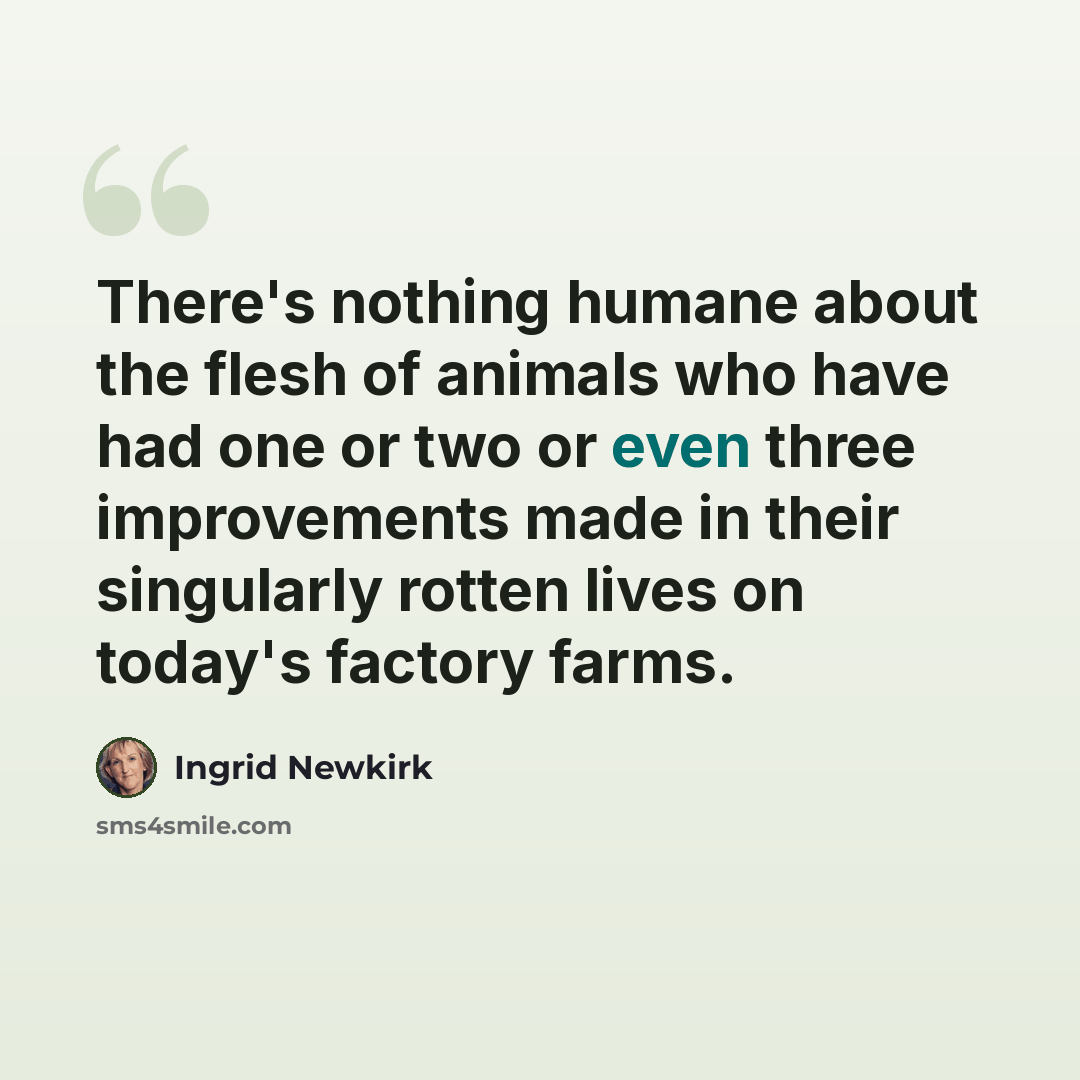 “There's nothing humane about the flesh of animals who have had one or two or even three improvements made in their singularly rotten lives on today's factory farms.” quote by Ingrid Newkirk