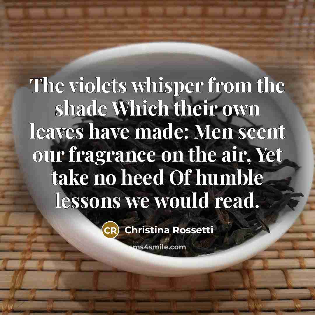 “The violets whisper from the shade Which their own leaves have made: Men scent our fragrance on the air, Yet take no heed Of humble lessons we would read.” quote by Christina Rossetti