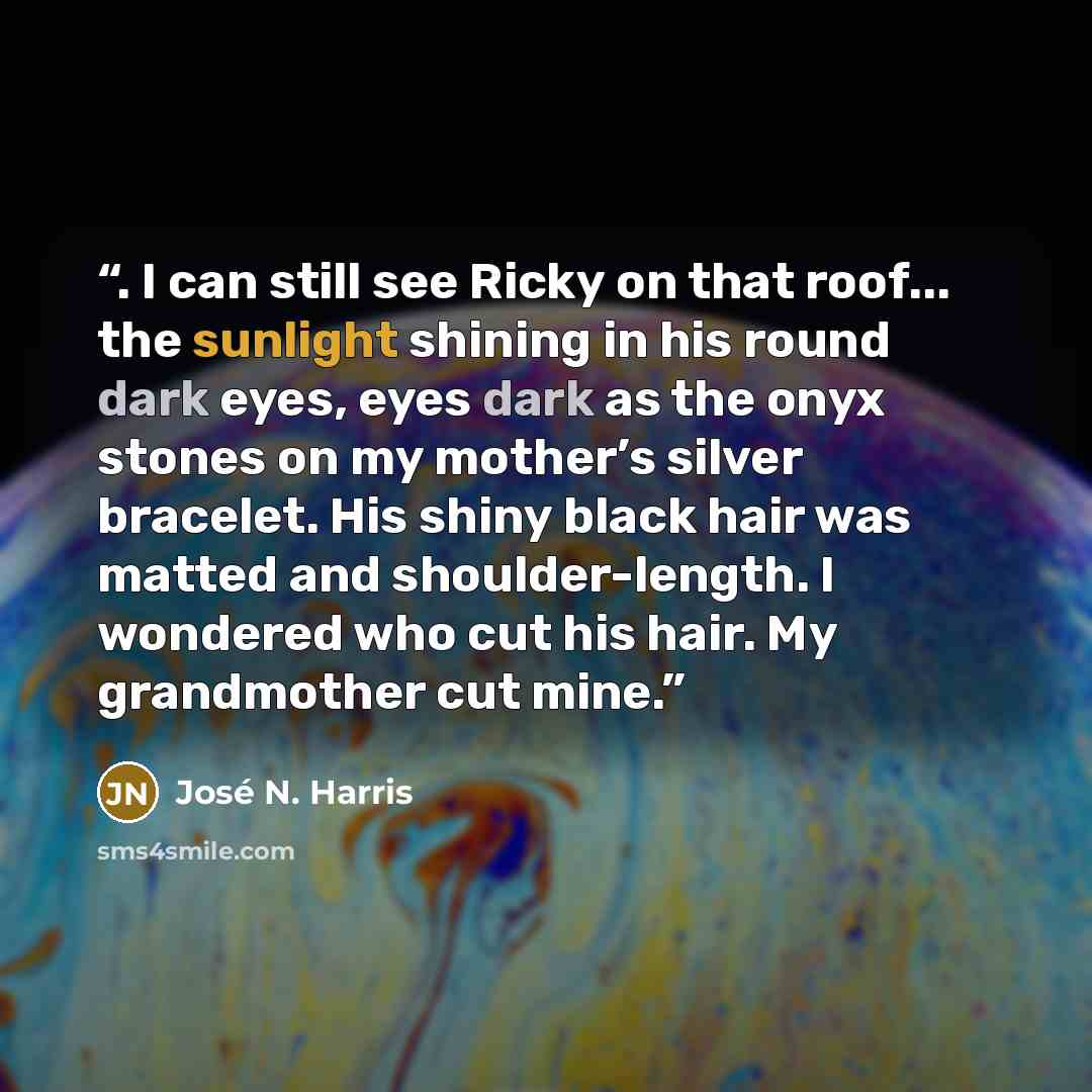 “. I can still see Ricky on that roof... the sunlight shining in his round dark eyes, eyes dark as the onyx stones on my mother’s silver bracelet. His shiny black hair was matted and shoulder-length. I wondered who cut his hair. My grandmother cut mine.” quote by José N. Harris