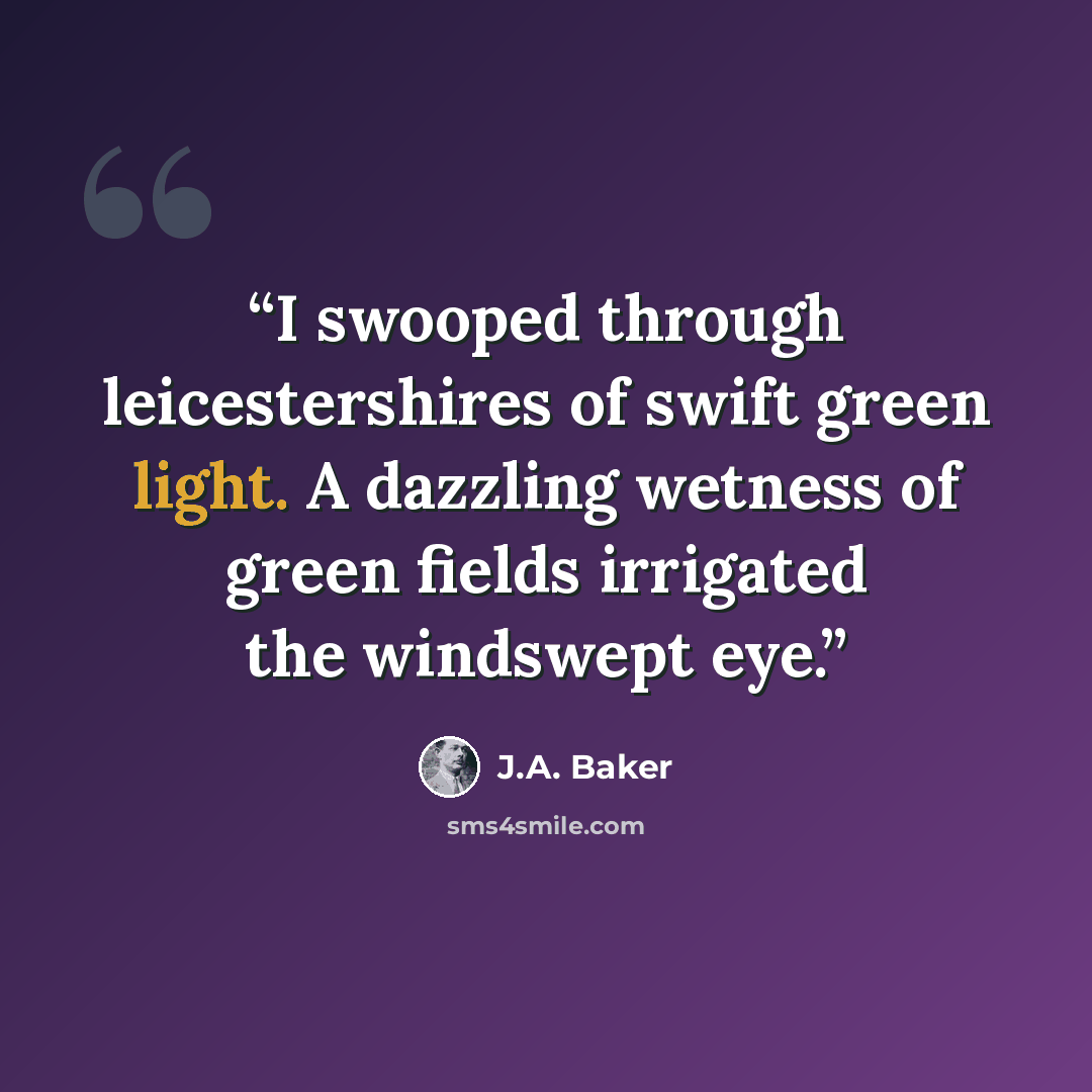 “I swooped through leicestershires of swift green light. A dazzling wetness of green fields irrigated the windswept eye.” quote by J.A. Baker