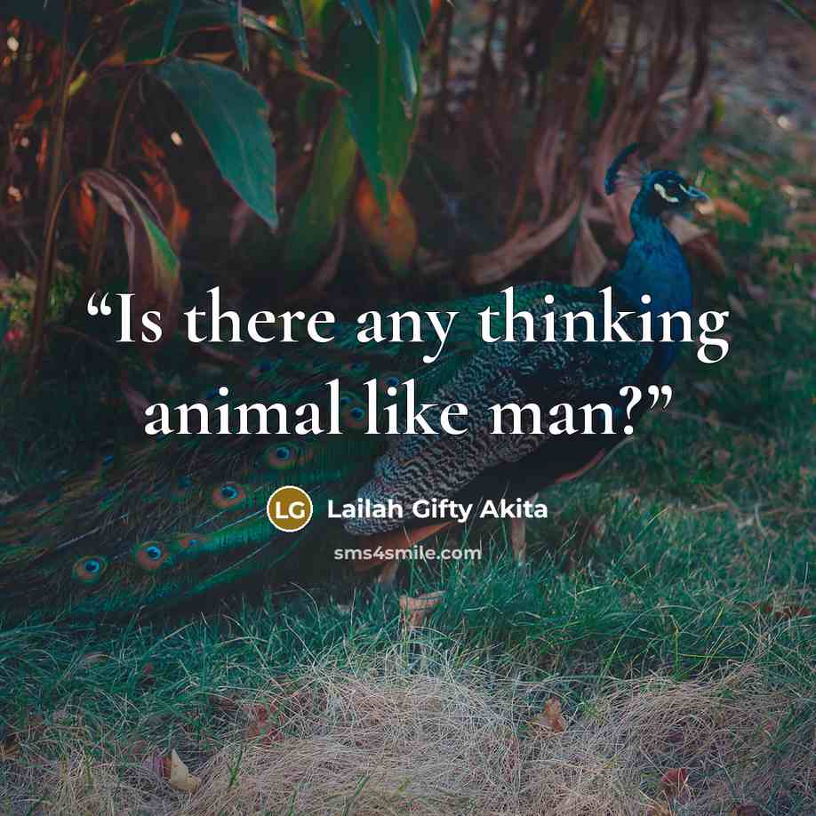 “Is there any thinking animal like man?” quote by Lailah Gifty Akita