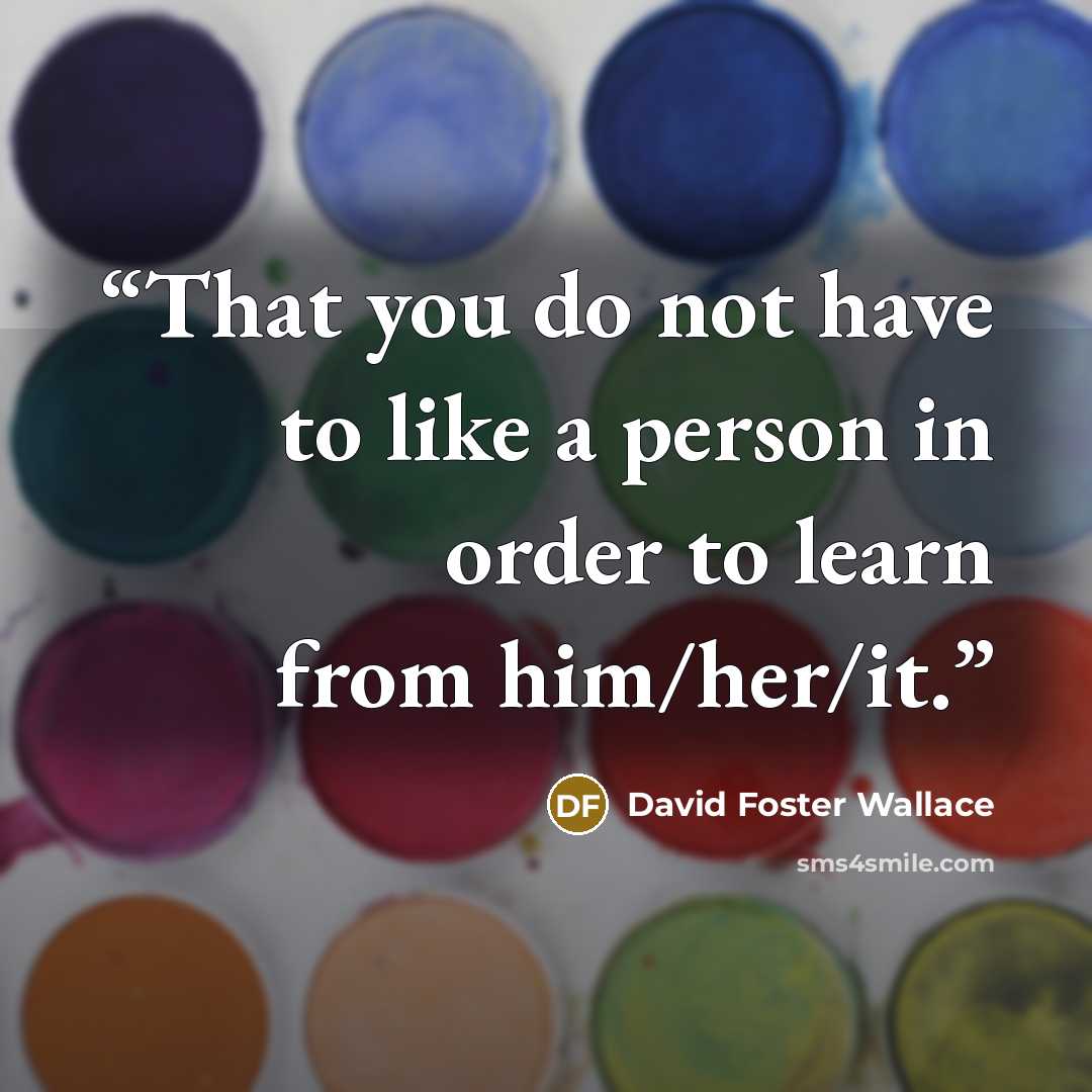“That you do not have to like a person in order to learn from him/her/it.” quote by David Foster Wallace