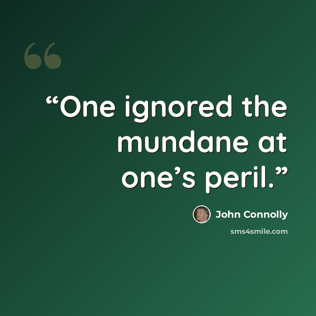 “One ignored the mundane at one’s peril.” quote by John Connolly