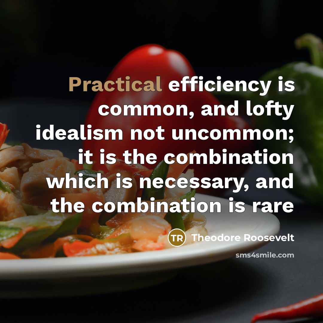 “Practical efficiency is common, and lofty idealism not uncommon; it is the combination which is necessary, and the combination is rare” quote by Theodore Roosevelt