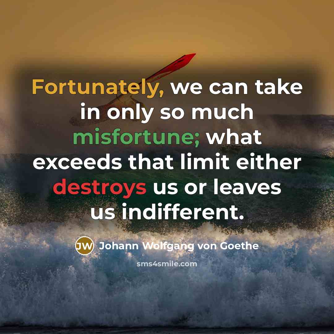 “Fortunately, we can take in only so much misfortune; what exceeds that limit either destroys us or leaves us indifferent.” quote by Johann Wolfgang von Goethe