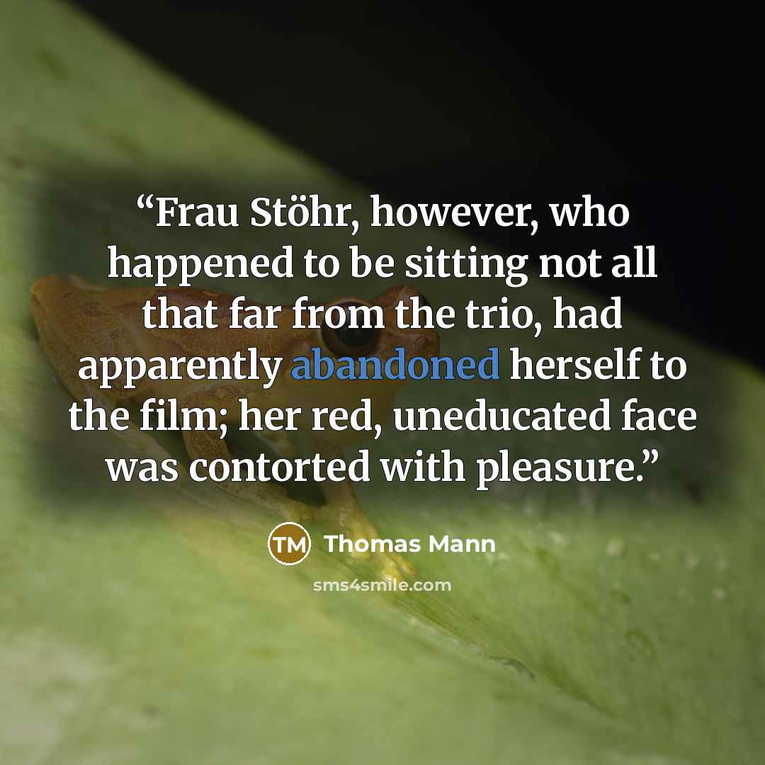 “Frau Stöhr, however, who happened to be sitting not all that far from the trio, had apparently abandoned herself to the film; her red, uneducated face was contorted with pleasure.” quote by Thomas Mann