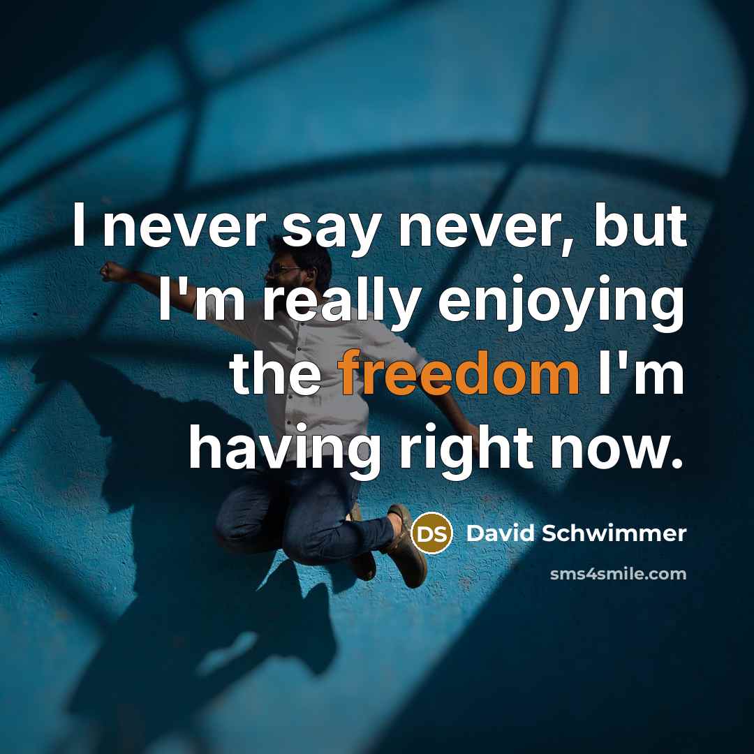 “I never say never, but I'm really enjoying the freedom I'm having right now.” quote by David Schwimmer