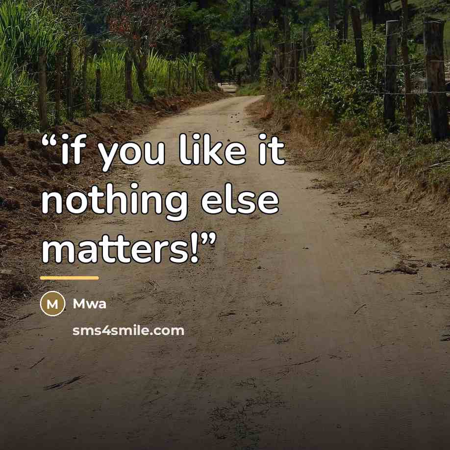 “if you like it nothing else matters!” quote by MWA